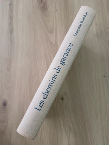 Marie-Bernadette Dupuy 🍀 Les enfants du Pas du Loup