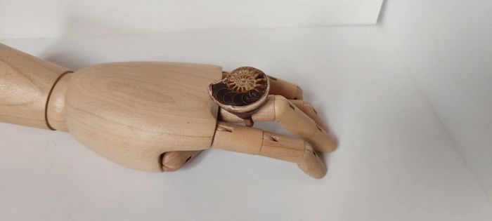 Bague montée d'une ammonite