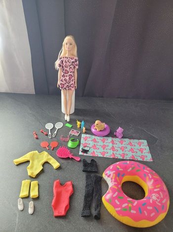 Lot Barbie + accessoires plage/piscine et sport 