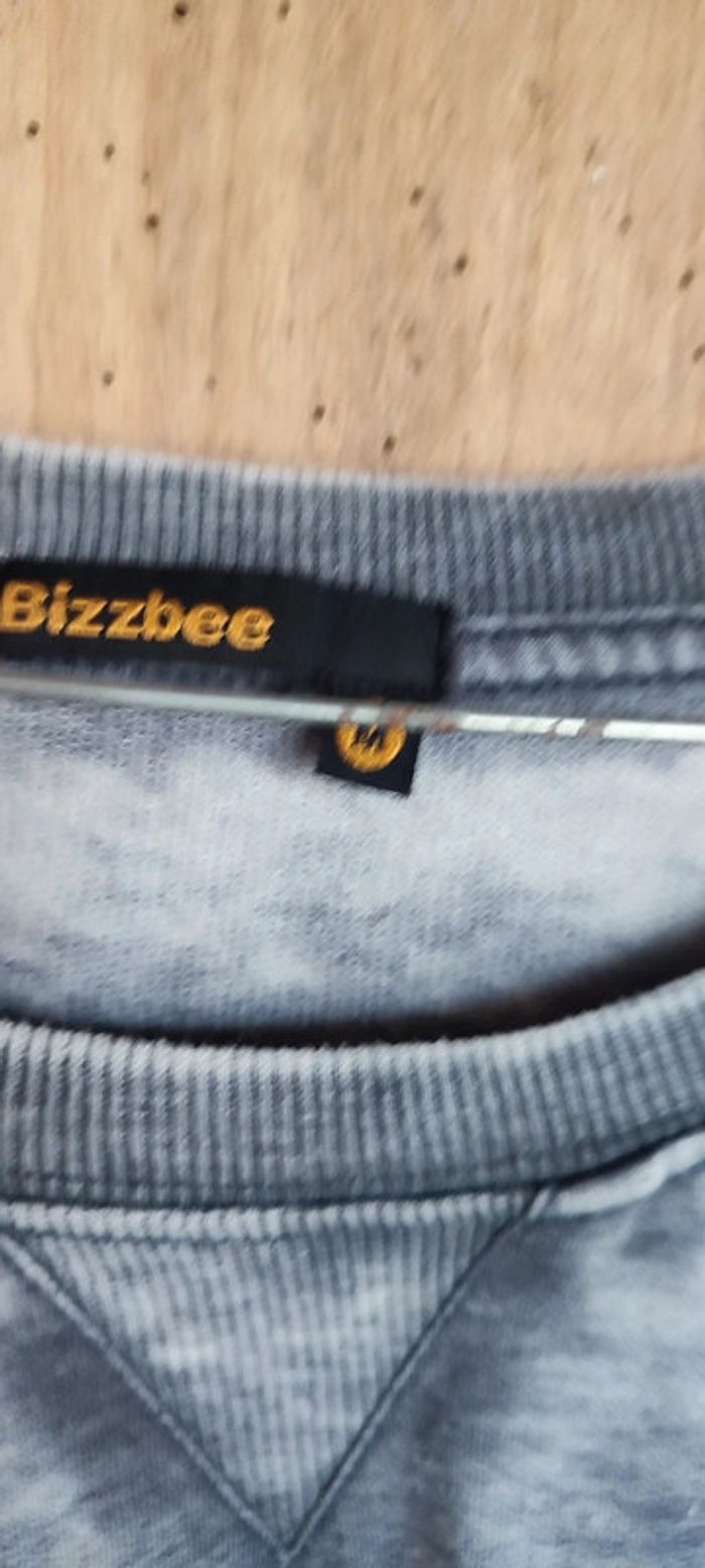Pull bizzbee - photo numéro 3