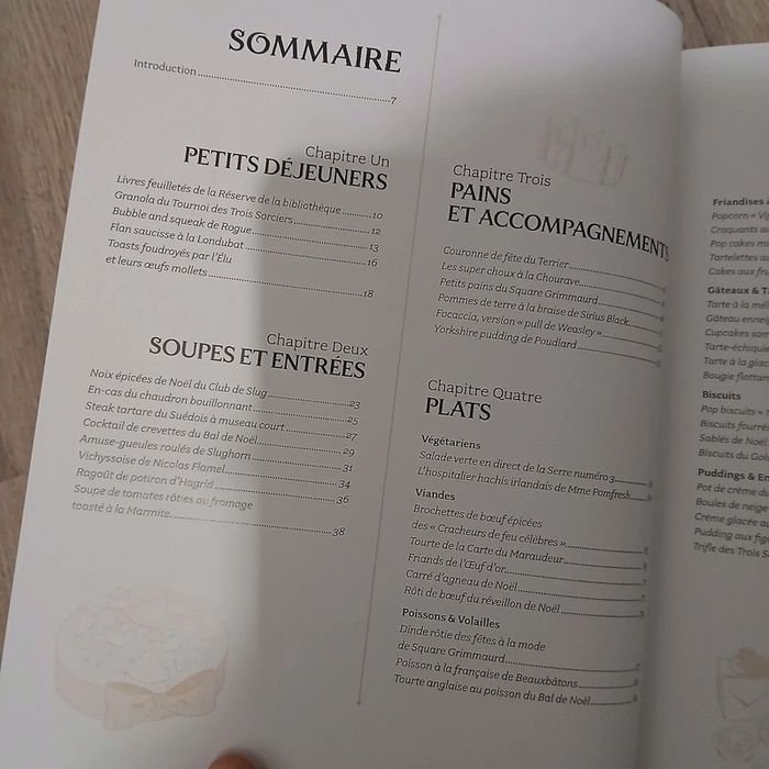 Livre de recette Harry Potter - photo numéro 8