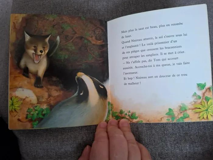 Livre "Bravo, Renardeau !" - photo numéro 4