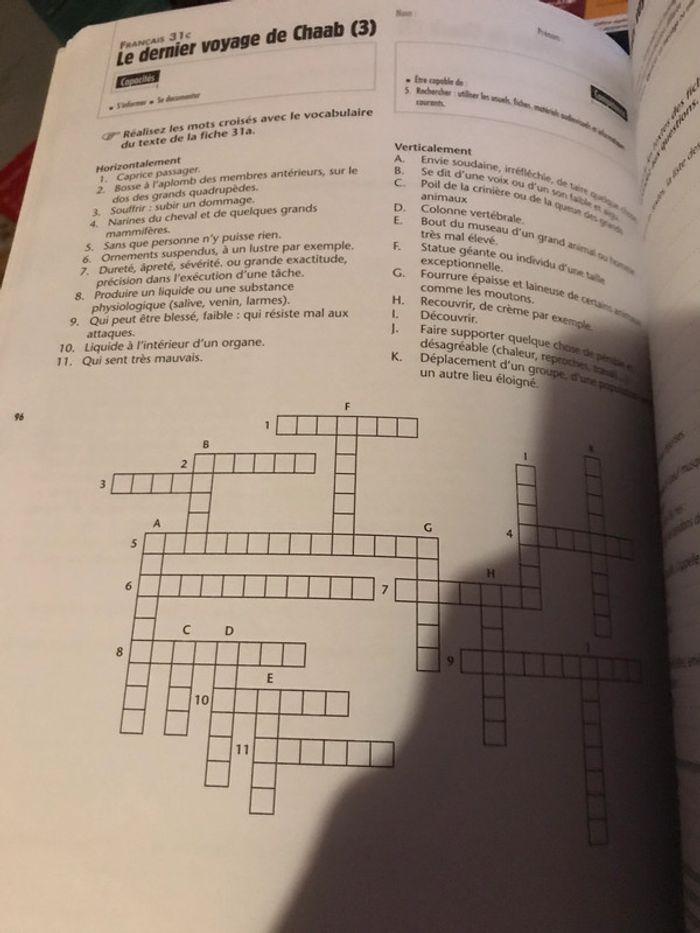 Fichier de remédiation en français - photo numéro 5