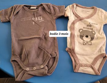 2  bodies manches courte absorba et tom et kiddy