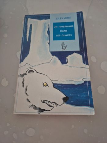 Livre un hivernage dans les glaces