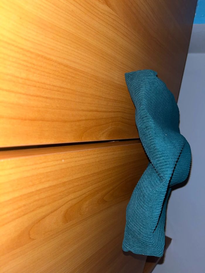 Sac à mains en velours vert foncé (petit) - photo numéro 6