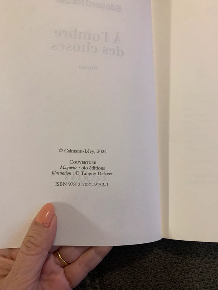 Livre à l’ombre des choses Anatole Edouard Nicolo - photo numéro 4