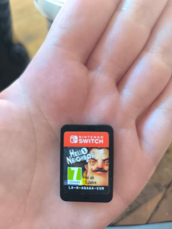 hello neighbor switch