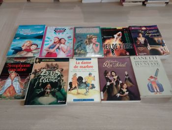 Lot de 10 livres de poches divers (9)