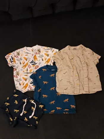 Lot Ensembles Safari 🐆