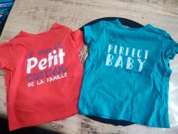 Lot 2 tee shirt 18 mois