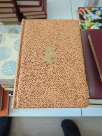 La châtelaine du liban pierre benoit