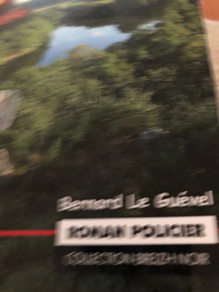 Le mène broie du noir - photo numéro 2