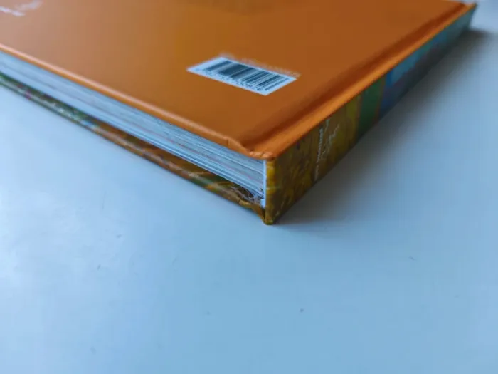 Livre le midi de van Gogh (éditions Crès) - photo numéro 3