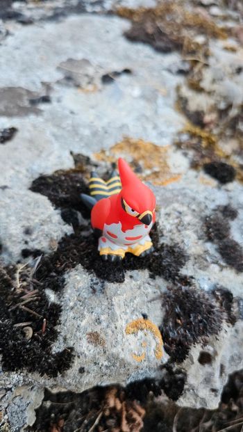 Super figurine Pokemon Nintendo finger puppet flambusar