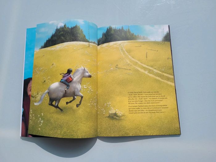 Livre , couverture souple, l'école des loisirs 🟥 La Boîte Rouge 🐎 6-8 ans (44) - photo numéro 6