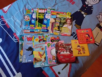 Lot de magazines et petits livres