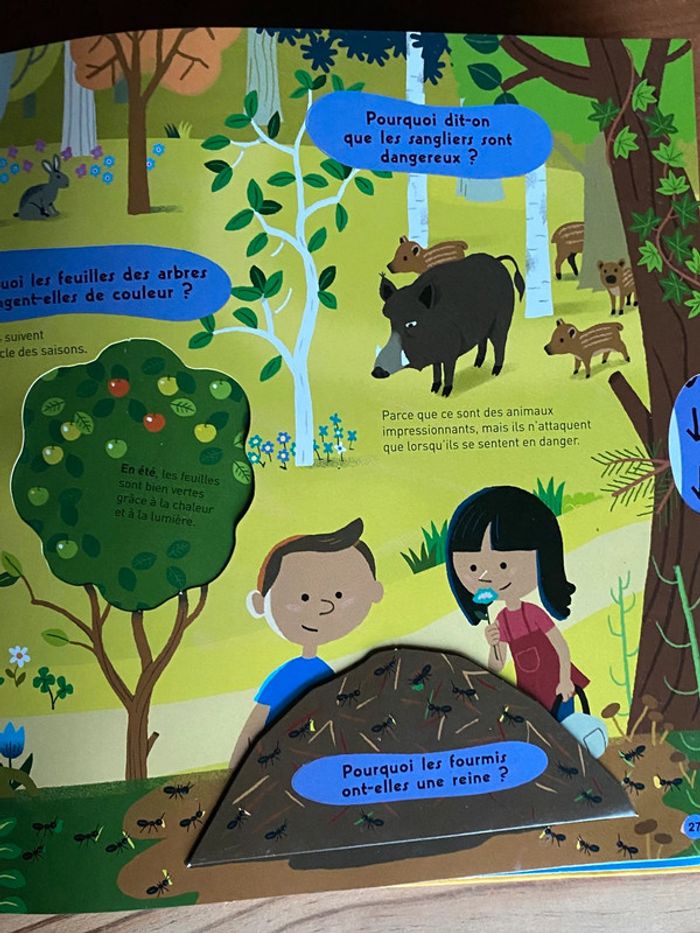 Livre Kididoc des pourquoi - photo numéro 7