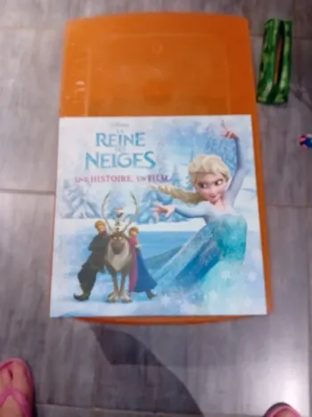 Livre la reine des neiges