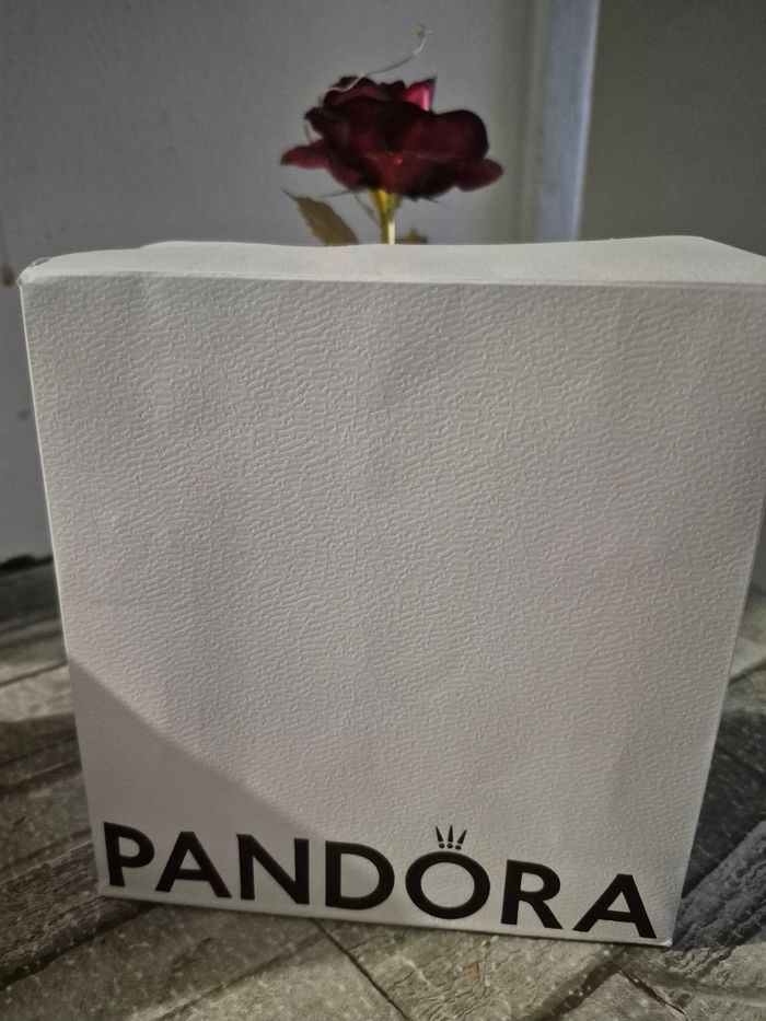 Bracelet pandora - photo numéro 4