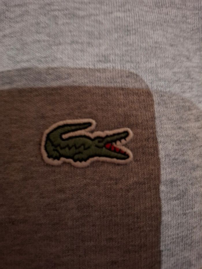 Pull à capuche lacoste sport gris homme - photo numéro 4