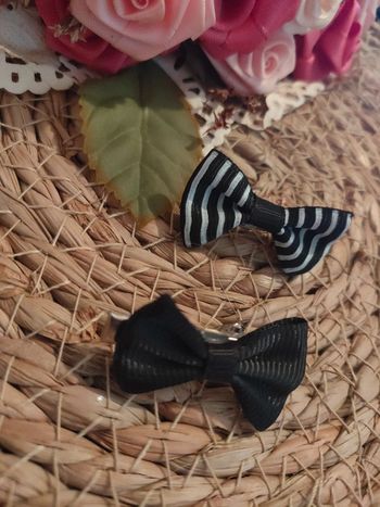 🎀Lot de 2 pinces à cheveux croco🎀