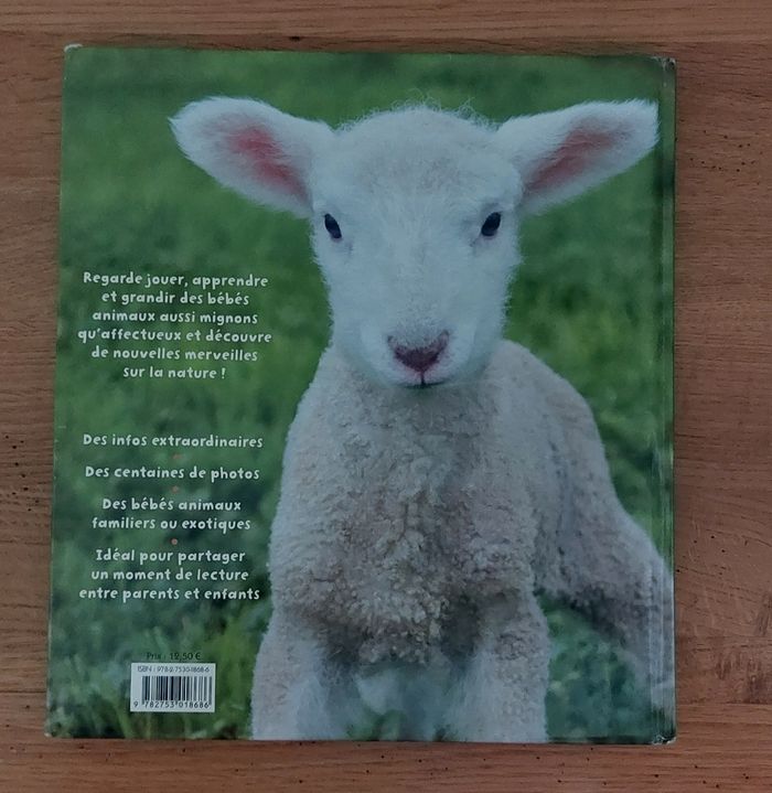 Mon grand livre des Bébés Animaux - Picolia - photo numéro 8