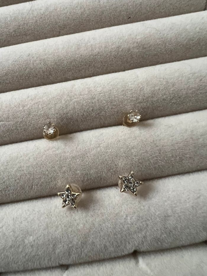 Puces d’oreilles - photo numéro 3