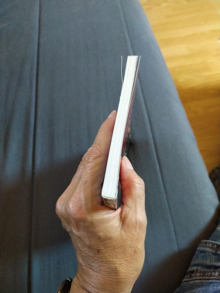 Divines Divas d'André Segond - photo numéro 3