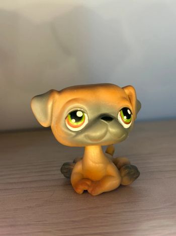 Chien Littlest pet shop