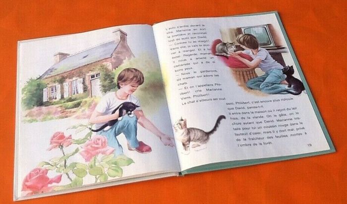 Martine Englebert / Jean Benoist Le Chat d' ici et le chat d' ailleurs (1986) - photo numéro 3