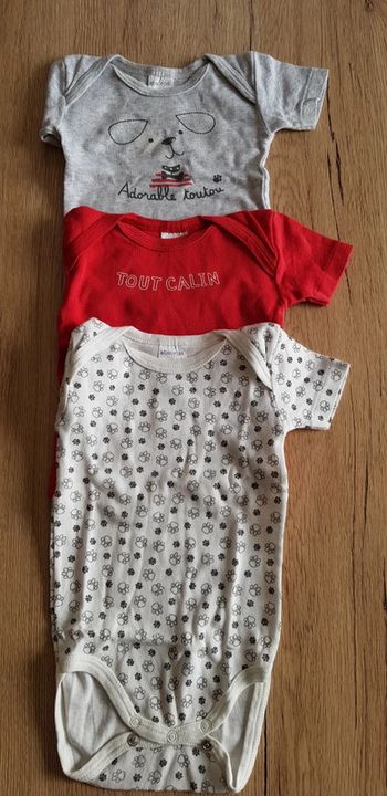 Lot de 3 bodys MC bébé fille