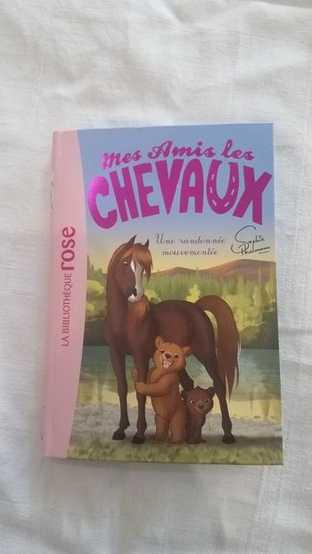 Mes amis les chevaux. Une randonnée mouvementée.