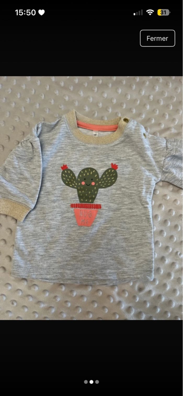 Pull cactus - photo numéro 2