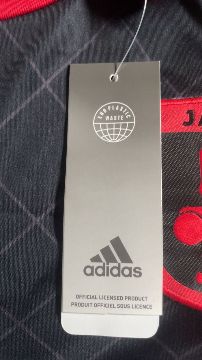 Maillot Japon - photo numéro 7