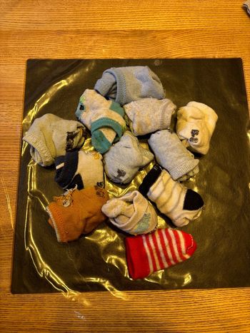 Lot de 12 paires de socquettes