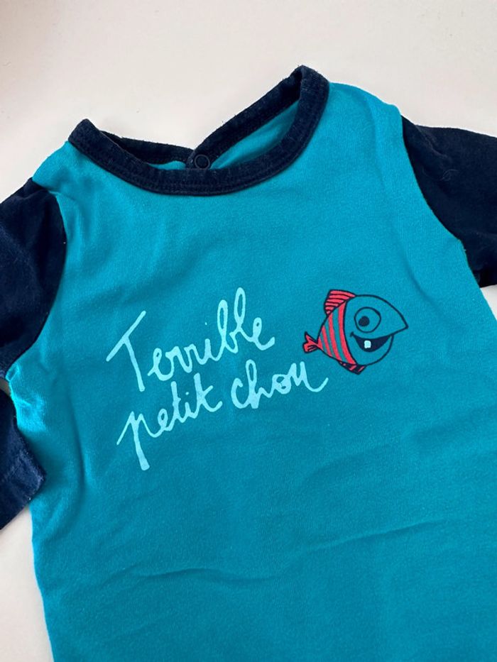 Pyj piranha - photo numéro 2