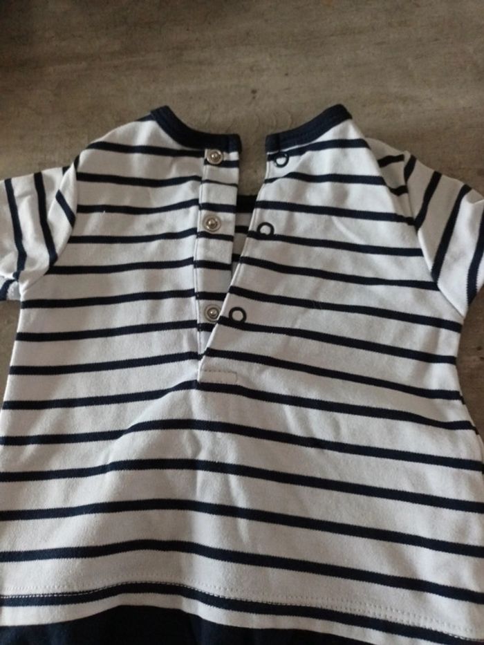 Barbotteuse marin - photo numéro 4