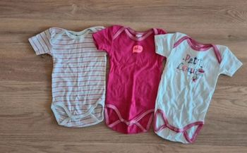 Lot bodies absorba 6 mois