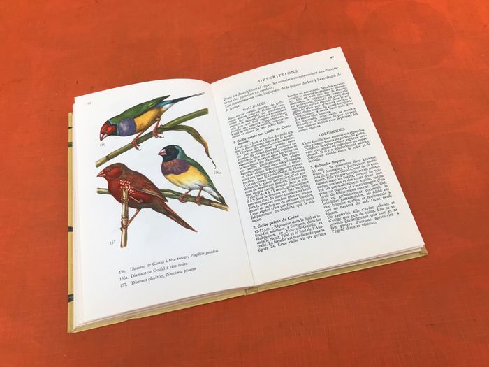 C. Mandahl-Barth et J.Dorst  Oiseaux de Cage et de Volière - photo numéro 6