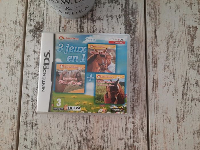 3 jeux en 1 Ds cheval - photo numéro 2