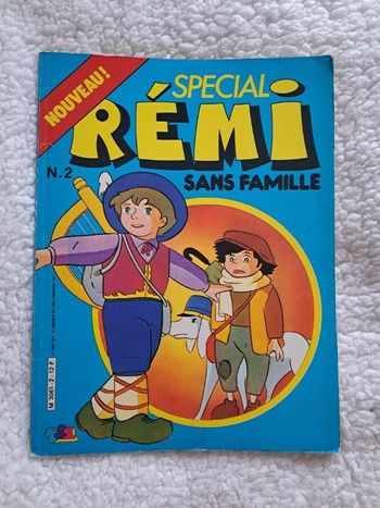 Livre "Rémi sans famille" vintage