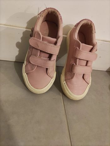 Tennis rose 27