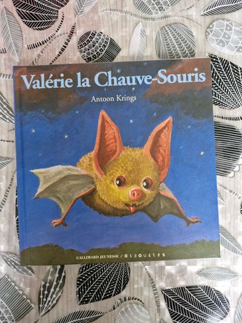 Livre enfant