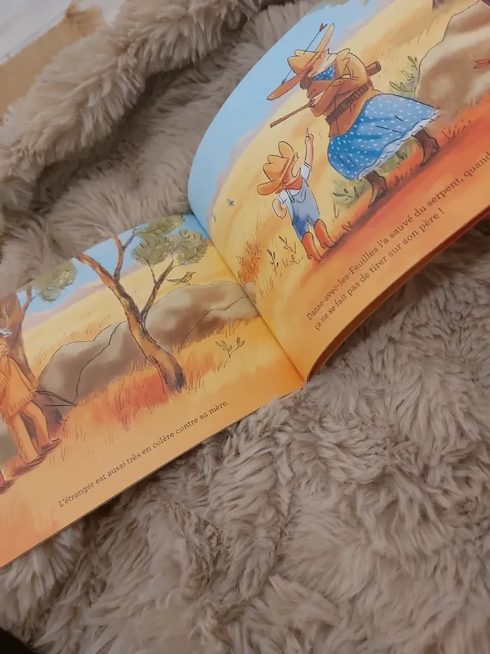 Livre la plume le chapeau l'arc et la carabine - photo numéro 2