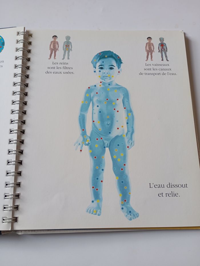 La vie du Corps - photo numéro 4