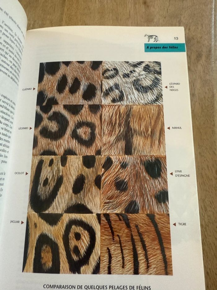 Bibliothèque du naturaliste encyclopédie livre rare Les félins Robert Dallet panthères wwf - photo numéro 6