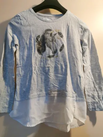Pull chevaux