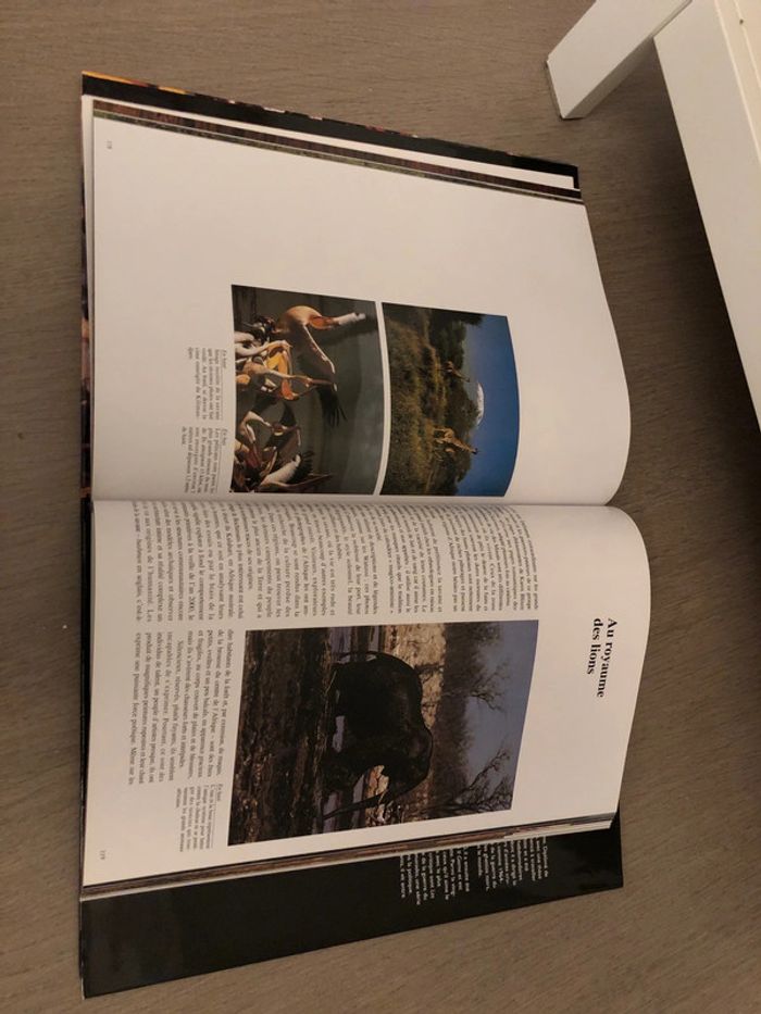 Afrique couleurs Du monde - photo numéro 3