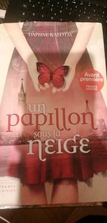 Un papillon sous la neige